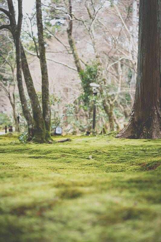 스냅사진 위주의 유치진지한 여행기 - 오사카&교토 (3) | 인스티즈