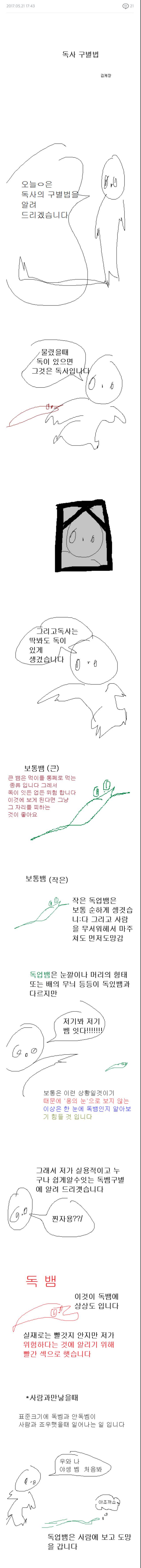 독사와 뱀 구별법 | 인스티즈