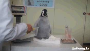 민감한 옆구리.gif | 인스티즈