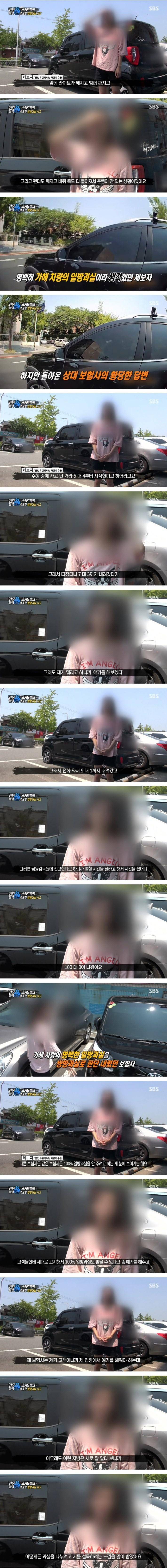 개양아치 보험사 | 인스티즈