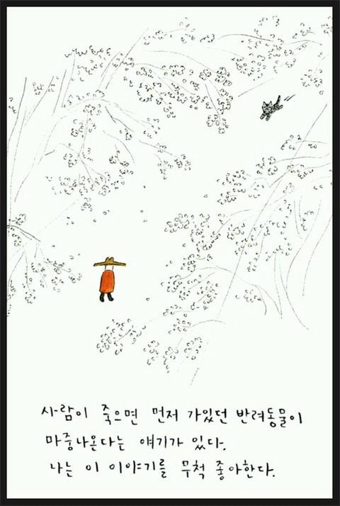 사람이 죽으면 먼저 간 반려동물이 마중온다는 얘기가 있다 | 인스티즈