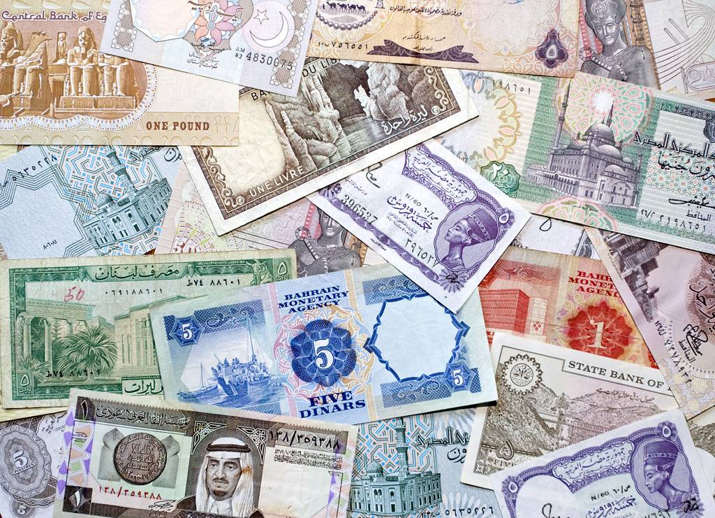 죽기전에 꼭 다시한번 공부해보고 싶은 학문은? | 인스티즈