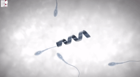 강제적인 남녀의 소개팅.gif | 인스티즈