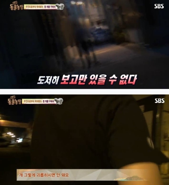 이유없는 강아지 학대 | 인스티즈