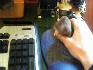 컴퓨터 사용 시간 줄이는 방법.gif | 인스티즈