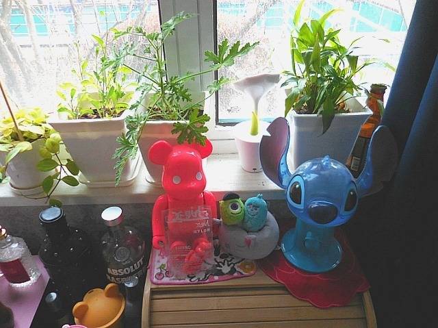 31살 여자의 방 | 인스티즈