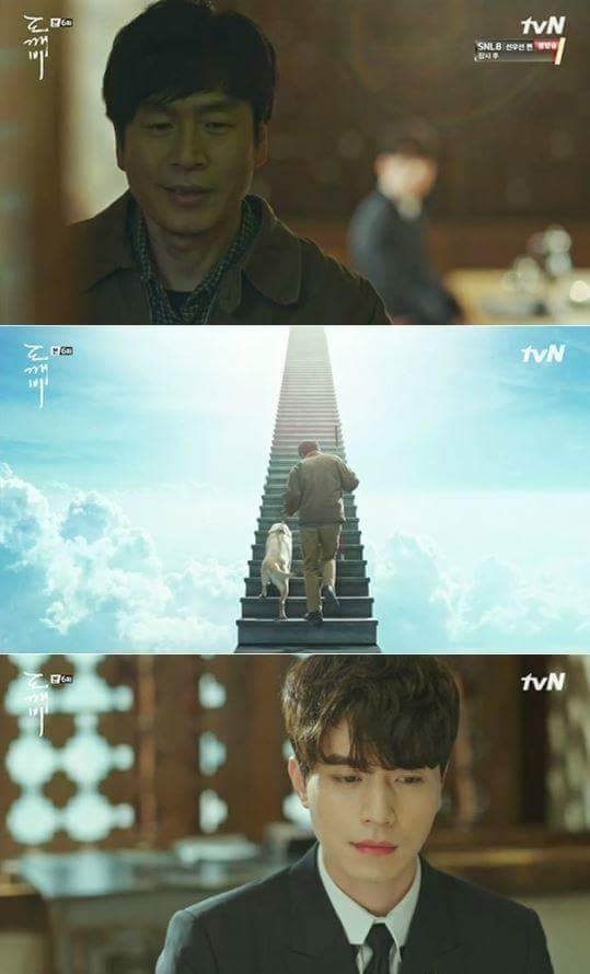 사람이 죽으면 먼저 가있던 반려동물이 마중나온다는 얘기가 있다.jpg | 인스티즈