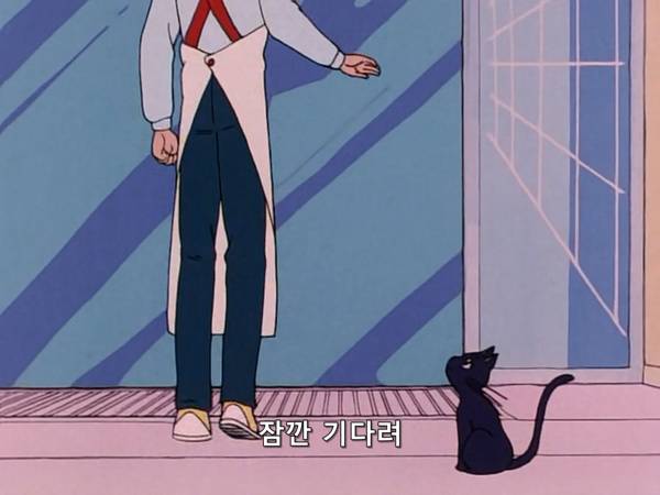 미소녀 전사 세일러문 (美少女戦士セーラームーン) 03 | 인스티즈