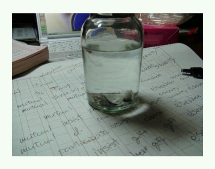 누가 이상한 돌을 줬는데...(1) | 인스티즈