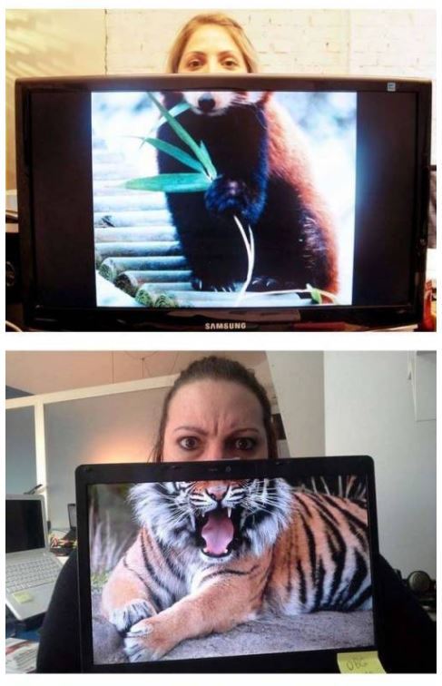 직장인들 사이에서 유행하는 놀이 | 인스티즈