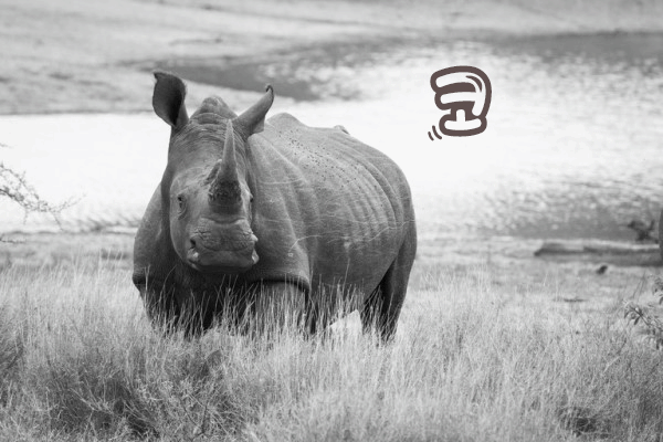 감자튀김의 종류 | 인스티즈