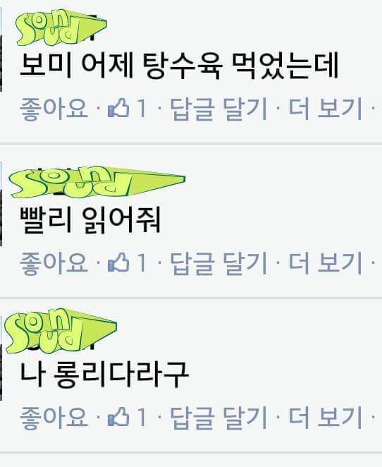 식신로드 라이브 방송보고 댓글다는 박초롱 | 인스티즈