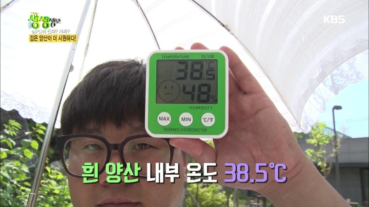 검은 양산이 더 시원하다? | 인스티즈