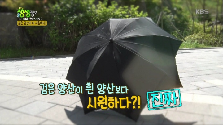 검은 양산이 더 시원하다? | 인스티즈