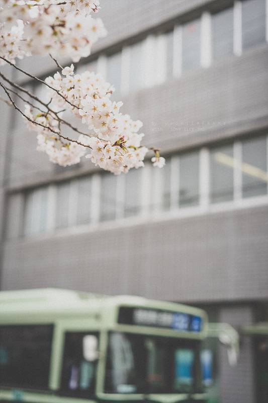 스냅사진 위주의 유치진지한 여행기 - 오사카&교토 (3) | 인스티즈