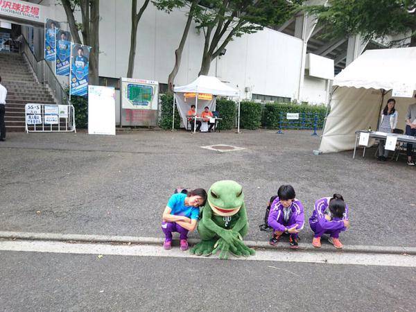 인터넷에서 제일 유명한 개구리 | 인스티즈