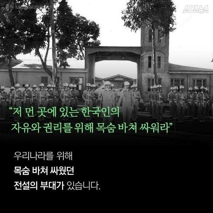 한국인을 위해 목숨바쳐라 | 인스티즈