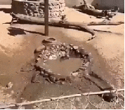 원숭이 워터파크 | 인스티즈