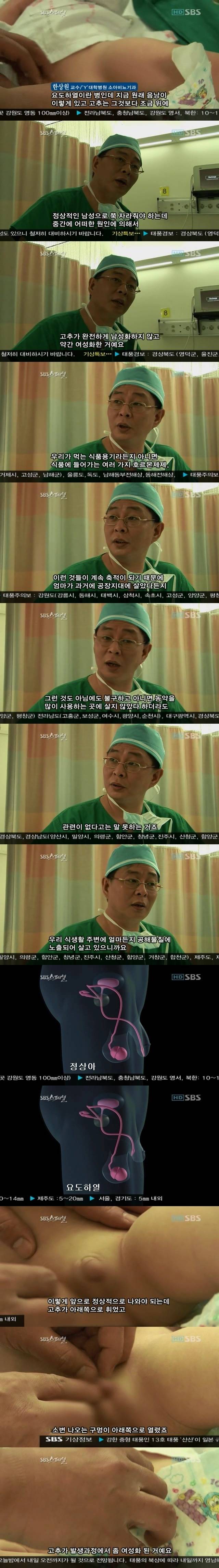 우리가 자연 임신이 어려운 이유 -환경호르몬의 습격 2부 | 인스티즈