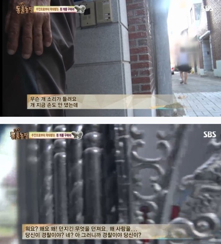 이유없는 강아지 학대 | 인스티즈