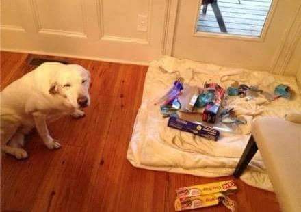 지들도 잘못한 건 알아갖고 ㅋㅋ | 인스티즈