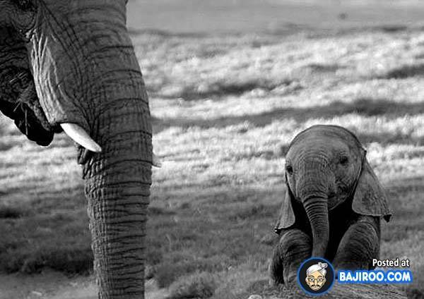 누구에게나 어린시절은 있다 | 인스티즈