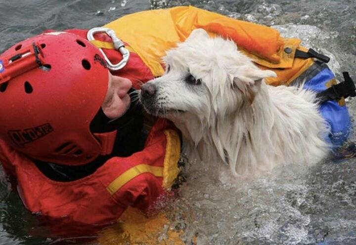 생명의 소중함을 누구보다 잘 아는 사람들 | 인스티즈