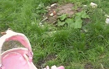 해탈한고양이 | 인스티즈