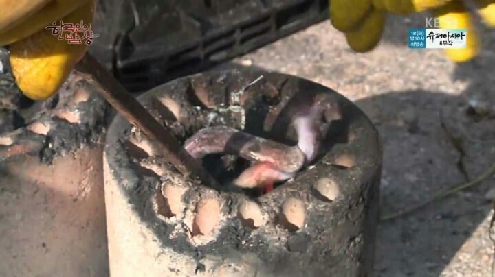 한국인의밥상 꼼장어 | 인스티즈