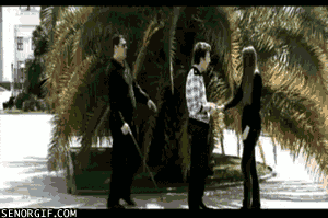 어디서 견수작이여! | 인스티즈