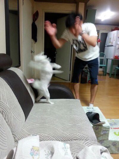 집이 개판인 상황에서 한끼줍쇼가 우리집 초인종을 눌렀는데 게스트가 최애라면? | 인스티즈