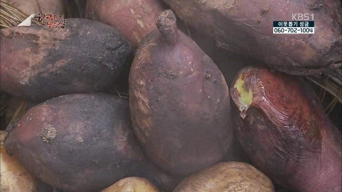 숯불로 해먹는 음식 좋아하시나요?.jpg | 인스티즈