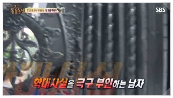 이유없는 강아지 학대 | 인스티즈