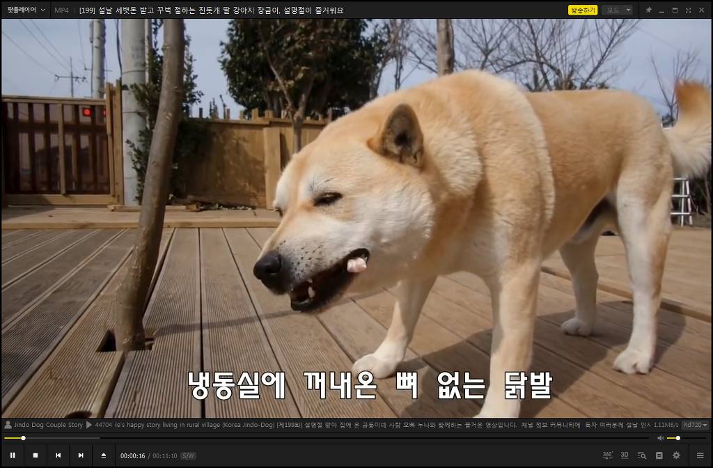 팟플레이어 기능인데 사람들이 모르고 잘 안쓰는 기능.jpg | 인스티즈