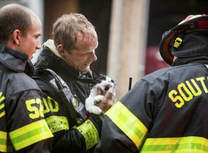 생명의 소중함을 누구보다 잘 아는 사람들 | 인스티즈