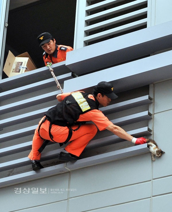 동물 구하는 소방관 | 인스티즈
