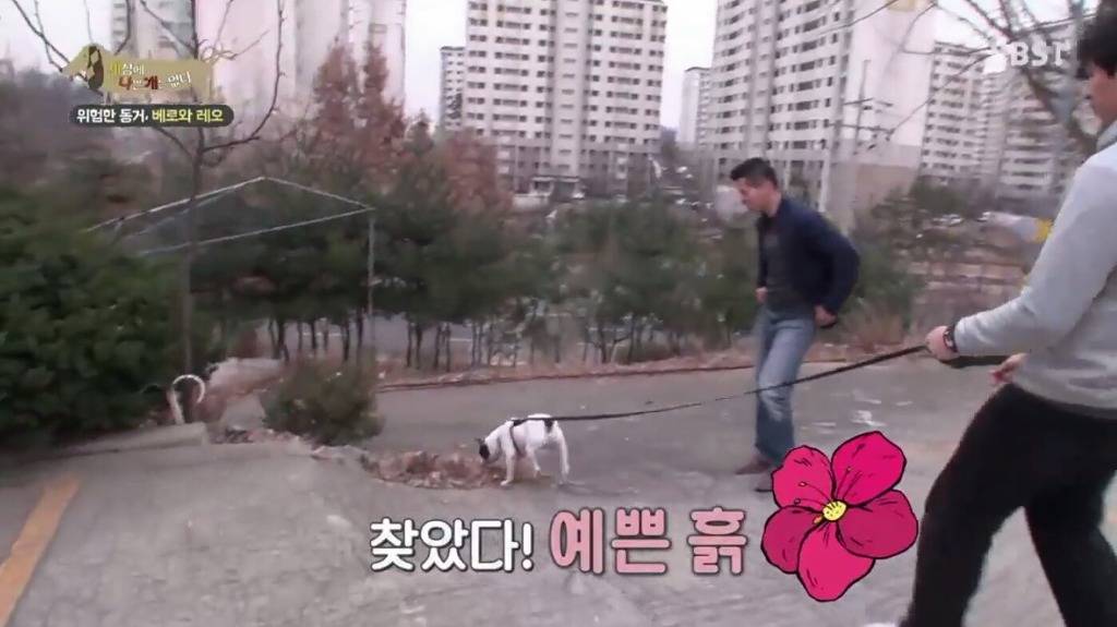 강아지가 흙이나 땅에 몸을 비비는 이유.jpg | 인스티즈