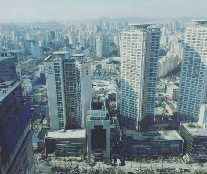 대구사진 , 여기저기 | 인스티즈