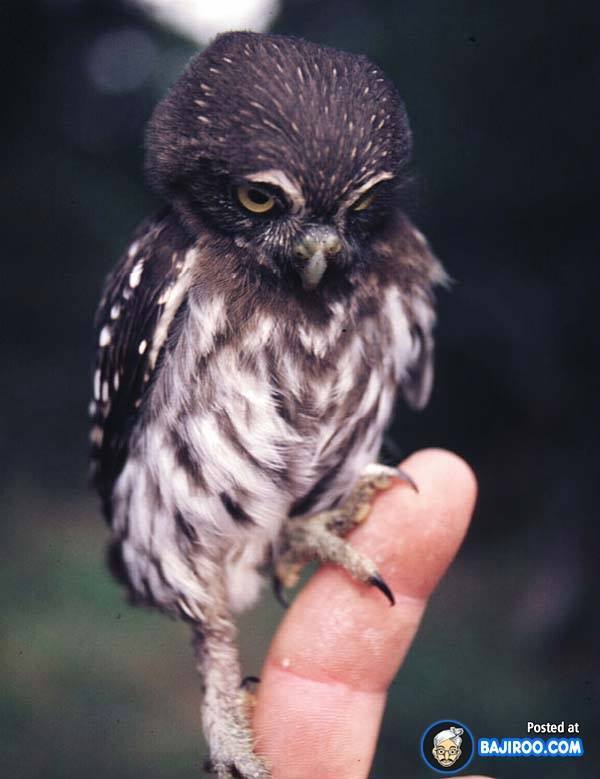누구에게나 어린시절은 있다 | 인스티즈