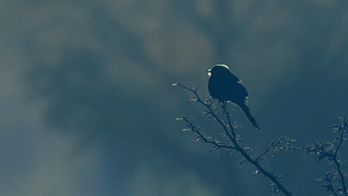 새벽에 일어나서 트름하는.gif | 인스티즈