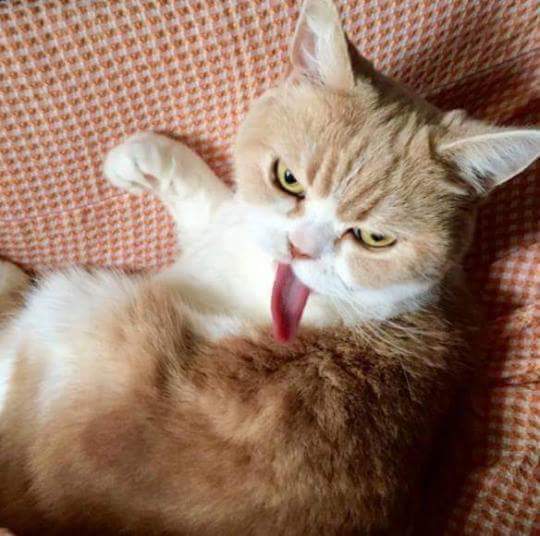 여자들 배고플 때 표정.JPG | 인스티즈