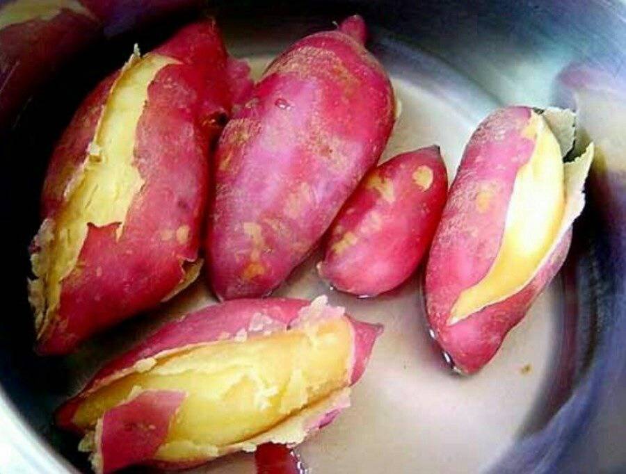 찐감자 vs 찐고구마 | 인스티즈