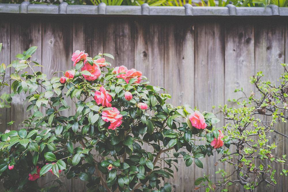 스냅사진 위주의 유치진지한 여행기 - 오사카&교토 (3) | 인스티즈