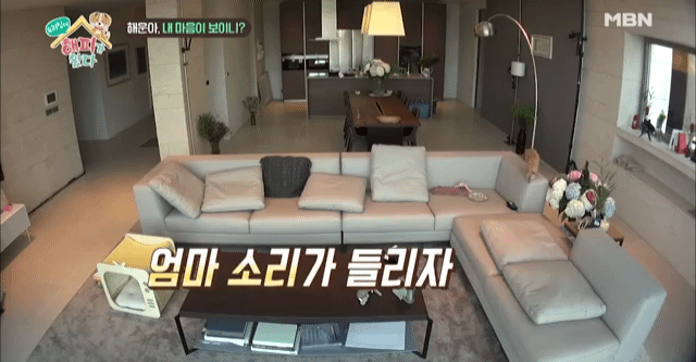 [우리집에해피가왔다] 졸린 척 하는 강아지 해운이.jpgif | 인스티즈