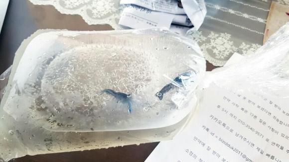 애완가재의 최후 | 인스티즈