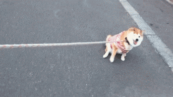 혼자 가라고 씨바.gif | 인스티즈