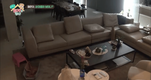 [우리집에해피가왔다] 졸린 척 하는 강아지 해운이.jpgif | 인스티즈