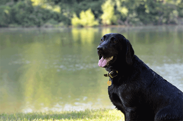 내향적인 사람들이 즐기고 행복해 하는 것들.jpg | 인스티즈