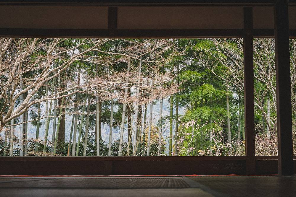 스냅사진 위주의 유치진지한 여행기 - 오사카&교토 (3) | 인스티즈