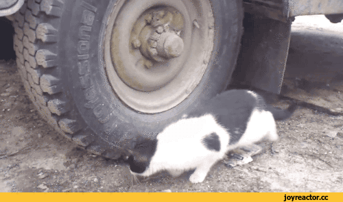 이상하다... 분명 이근처에있는데.gif | 인스티즈